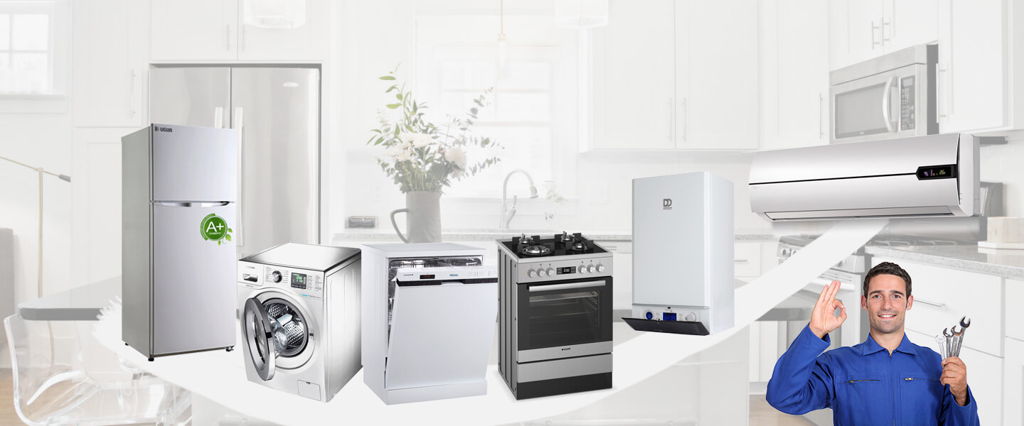 Boyalık Grundig Servisi